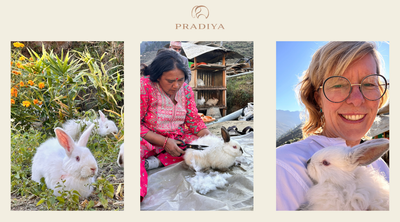 Unsere Hasen in Nepal: ein Tag auf unserer Farm in Oda, Kalikot Distrikt